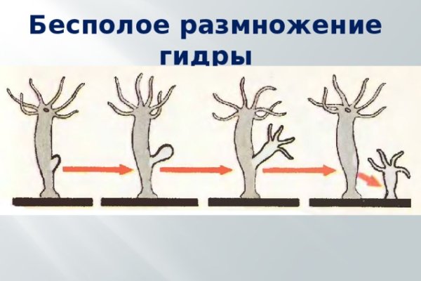 Как найти настоящую кракен даркнет ссылку