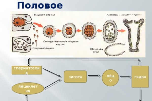 Kraken ссылка tor официальный сайт